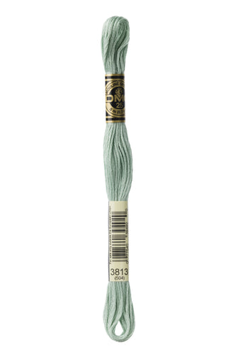DMC Floss - 3813