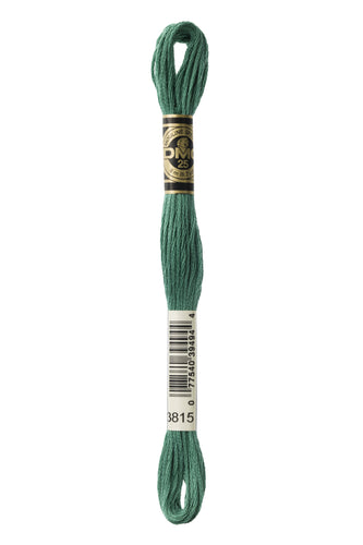 DMC Floss - 3815