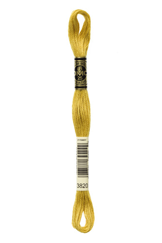 DMC Floss - 3820