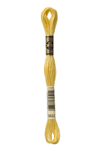 DMC Floss - 3822