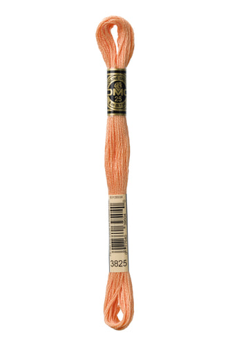 DMC Floss - 3825