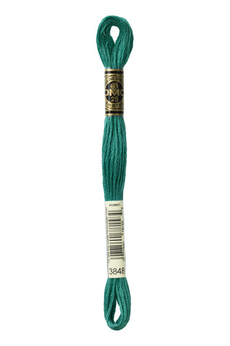 DMC Floss - 3848