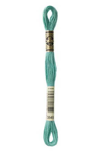 DMC Floss - 3849
