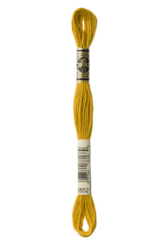 DMC Floss - 3852
