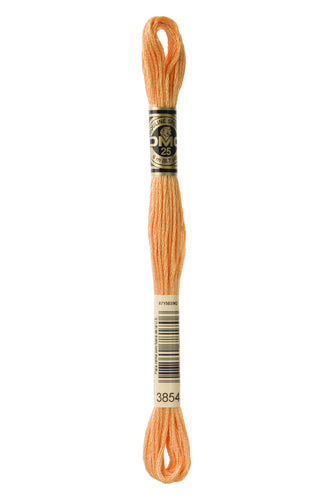 DMC Floss - 3854