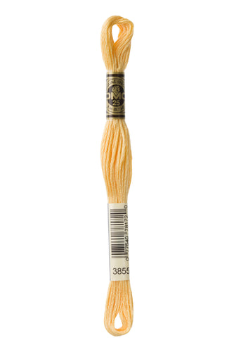 DMC Floss - 3855