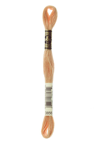 DMC Floss - 3856