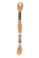 DMC Floss - 3856