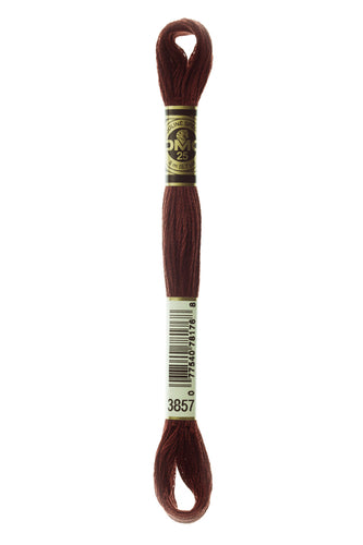 DMC Floss - 3857