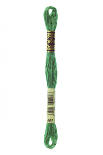 DMC Floss - 562