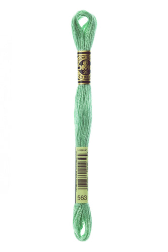 DMC Floss - 563
