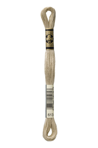 DMC Floss - 613