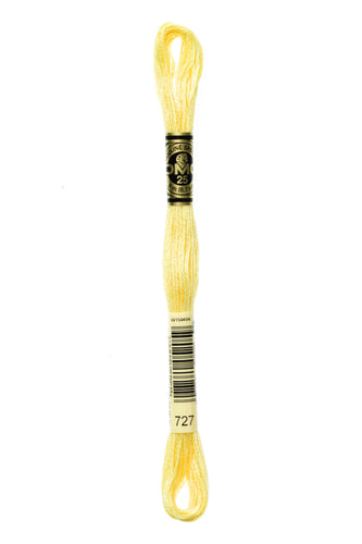 DMC Floss - 727