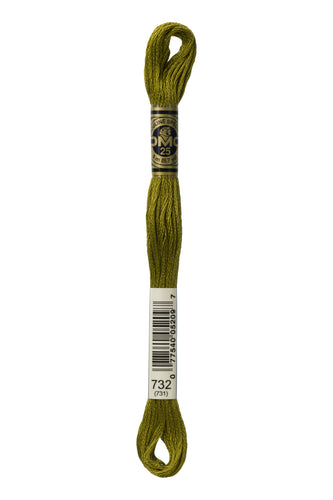 DMC Floss - 732
