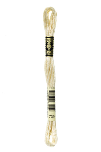 DMC Floss - 739