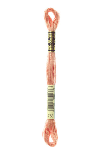 DMC Floss - 758