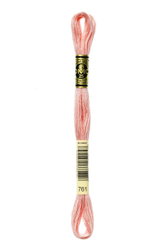 DMC Floss - 761