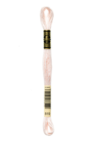 DMC Floss - 819