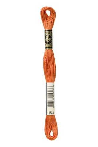 DMC Floss - 922
