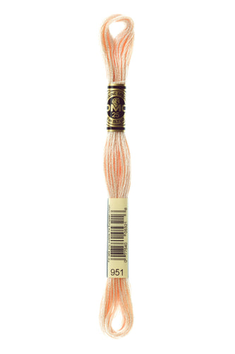 DMC Floss - 951
