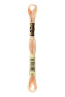 DMC Floss - 951