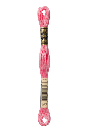DMC Floss - 957