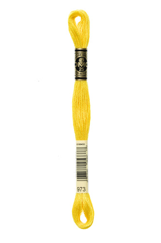 DMC Floss - 973