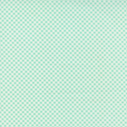 Fresh Fig Favorites - Gingham Aqua by Fig Tree and Co.