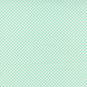 Fresh Fig Favorites - Gingham Aqua by Fig Tree and Co.