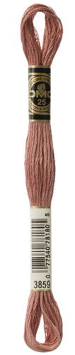 DMC Floss - 3859
