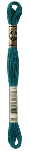 DMC Floss - 3809