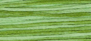 Weeks Dye Works Floss - Meadow