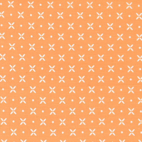 Simply Delightful - Orange Peel Apricot by Sherri and Chelsi