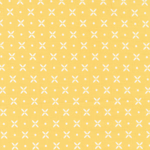Simply Delightful - Orange Peel Buttercup by Sherri and Chelsi