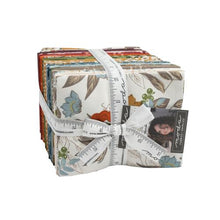 Load image into Gallery viewer, Slow Stroll Fat Quarter Bundle by Fancy That Design House