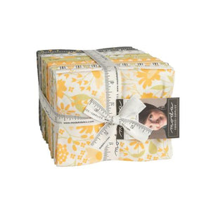 Buttercup and Slate Fat Quarter Bundle by Corey Yoder