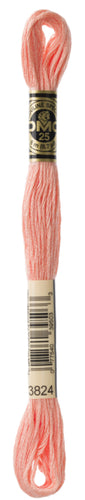 DMC Floss - 3824