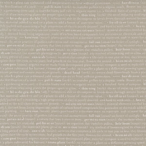 Flower Pot - Glossary Text Taupe by Lella Boutique