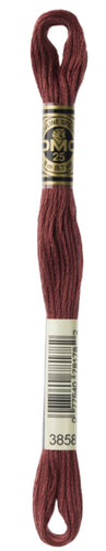 DMC Floss - 3858