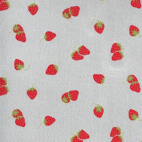 Sunday Stroll - Berry Patch - Grey by Bonnie and Camille