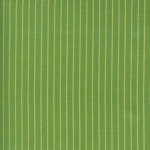 Sunday Stroll - Wide Stripe - Green by Bonnie and Camille