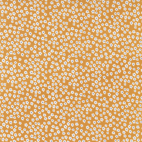 Graze - Blooms Sunshine by Sweetwater