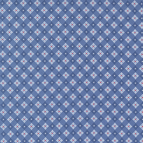Graze - Blue Ribbon Navy by Sweetwater