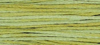 Weeks Dye Works Floss - Scuppernong