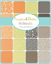 Load image into Gallery viewer, Pumpkins and Blossoms - Mini Charm Pack by Fig Tree and Co.