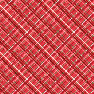 Snowed In - Plaid Red by Heather Peterson