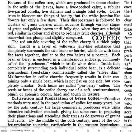 Coffee Chalk - Text White by J. Wecker Frisch