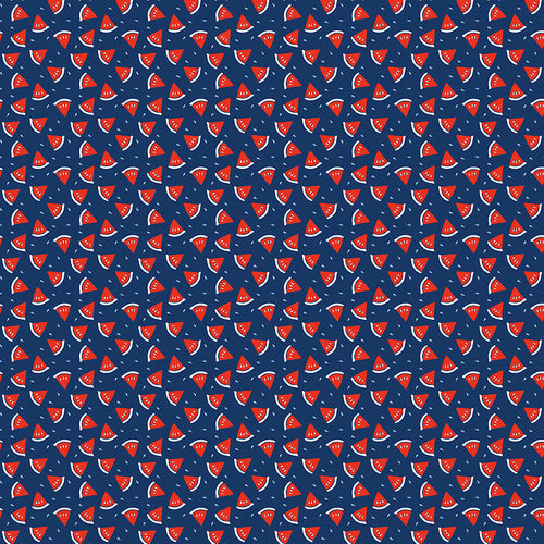 Red White and Bang - Watermelon Navy by Sandy Gervais