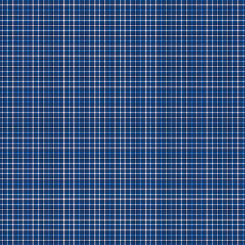 Red White and Bang - Plaid Navy by Sandy Gervais