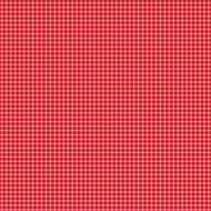 Bee Plaids - Sweater Cayenne by Lori Holt